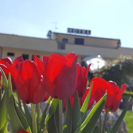 Hotel Vittoria 3*